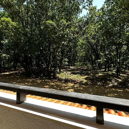 דירה Paradise Complex *